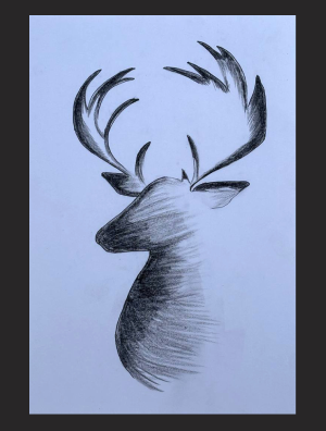 Deer Image